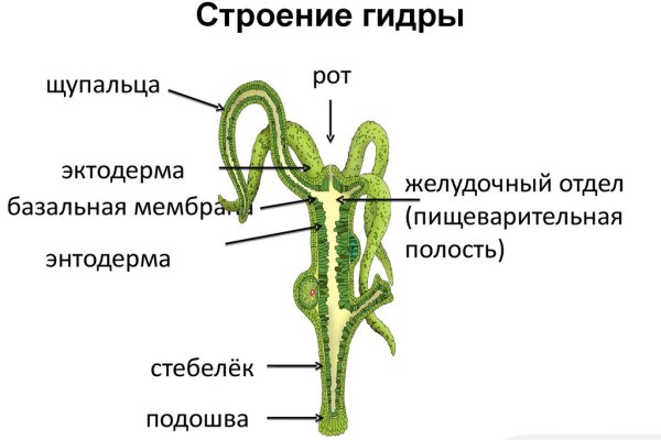 Kra40.at