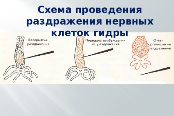 Kraken сайт магазин