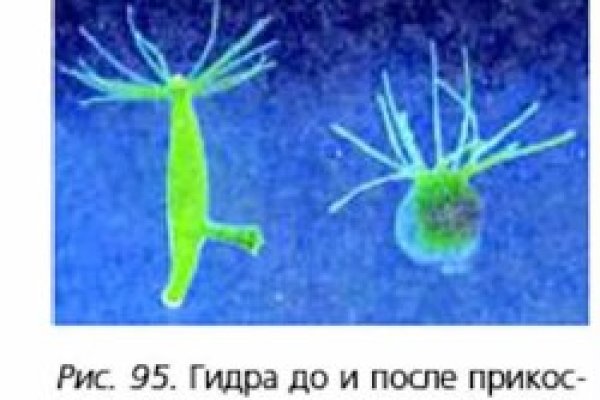 Кракен марихуана