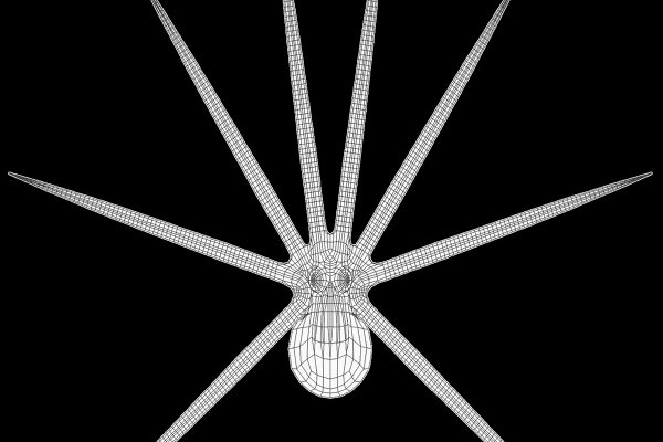Kraken 17 at net