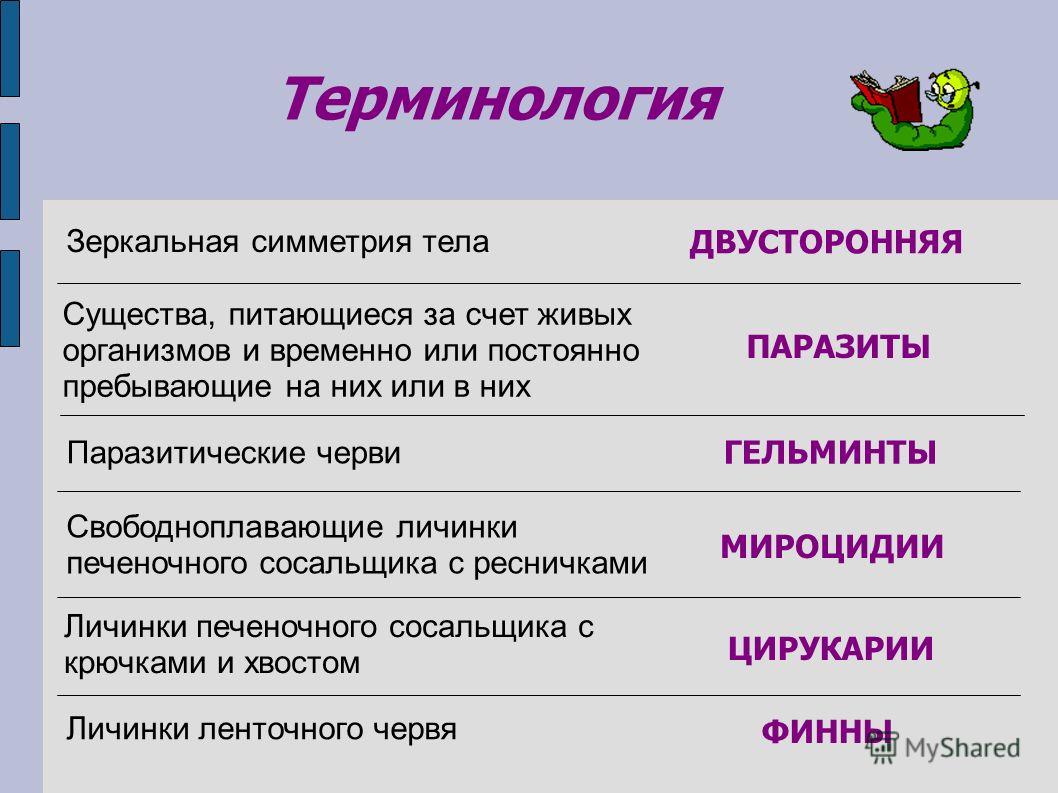Новый адрес кракен